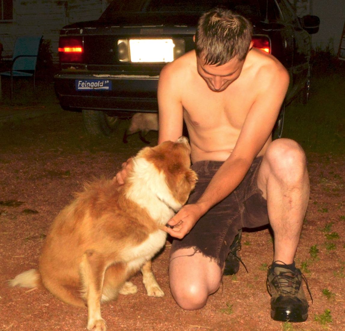 Petting Ganger Danger