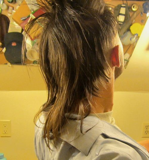 mullet